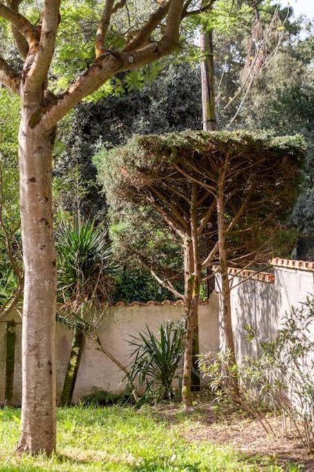 La Maison Des Epinouses, 4 Chambres A 450M De La Plage De Chaucre سا جورج دوليه المظهر الخارجي الصورة